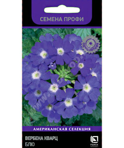 Вербена Кварц Блю (ПРОФИ)