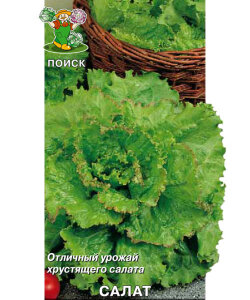 Салат Кучерявец Грибовский (простые пакеты) Салат Кучерявец Грибовский (простые пакеты)