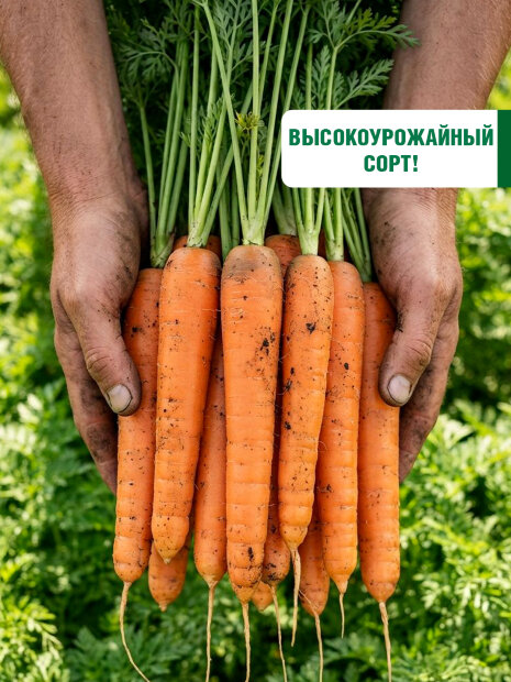 Морковь Самсон семена 