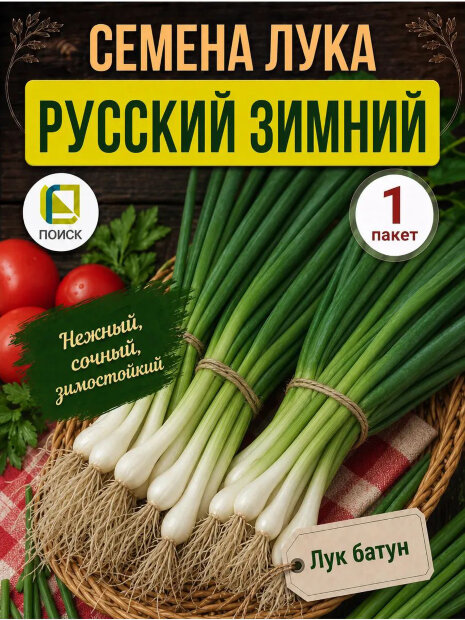 Лук батун Русский зимний семена 
