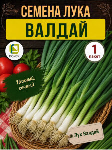 Лук батун Валдай Лук батун Валдай