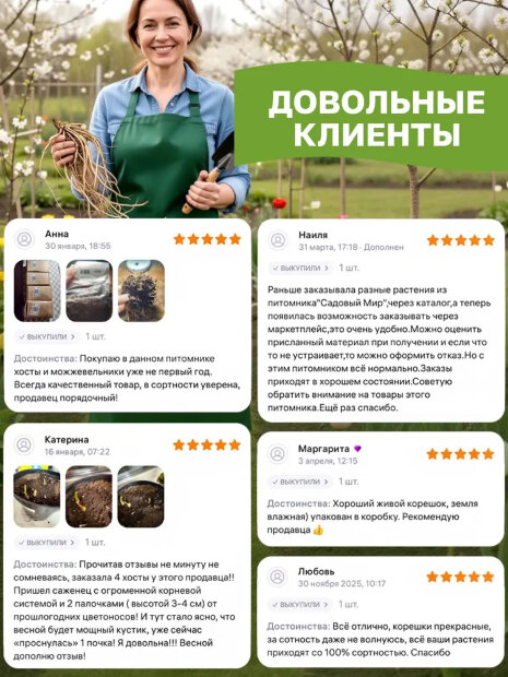 Хоста Риски Бизнес