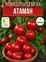 Томат Атаман Томат Атаман