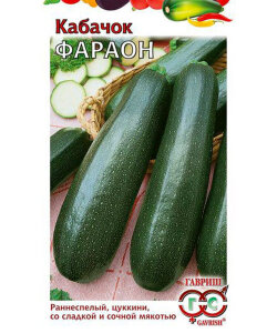 Кабачок Фараон Кабачок Фараон