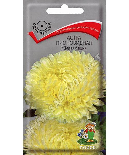 Астра пионовидная Жёлтая Башня семена