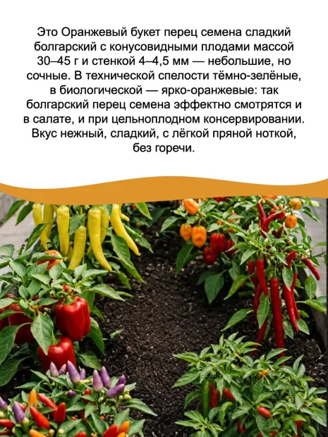 Перец сладкий Оранжевый Букет семена 