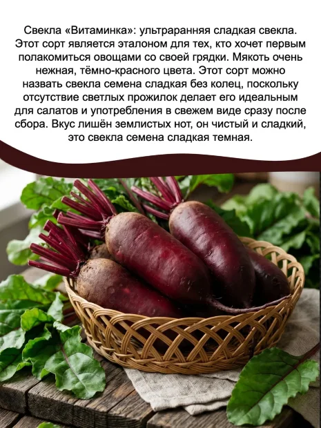 Свекла Витаминка семена 