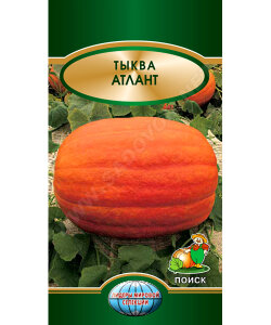 Тыква Атлант (крупноплодная) Тыква Атлант (крупноплодная)