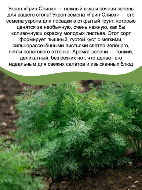 Укроп Грин Сливз семена 