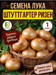 Лук репчатый Штуттгартер ризен
