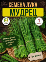 Лук шнитт Мудрец Лук шнитт Мудрец