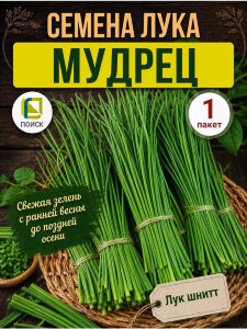 Лук шнитт Мудрец Лук шнитт Мудрец
